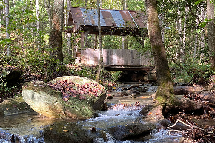 Bowen Chapel Creek