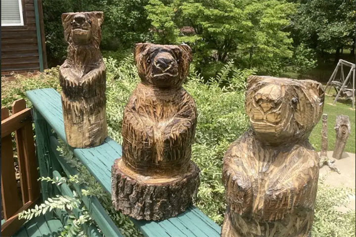 Bears